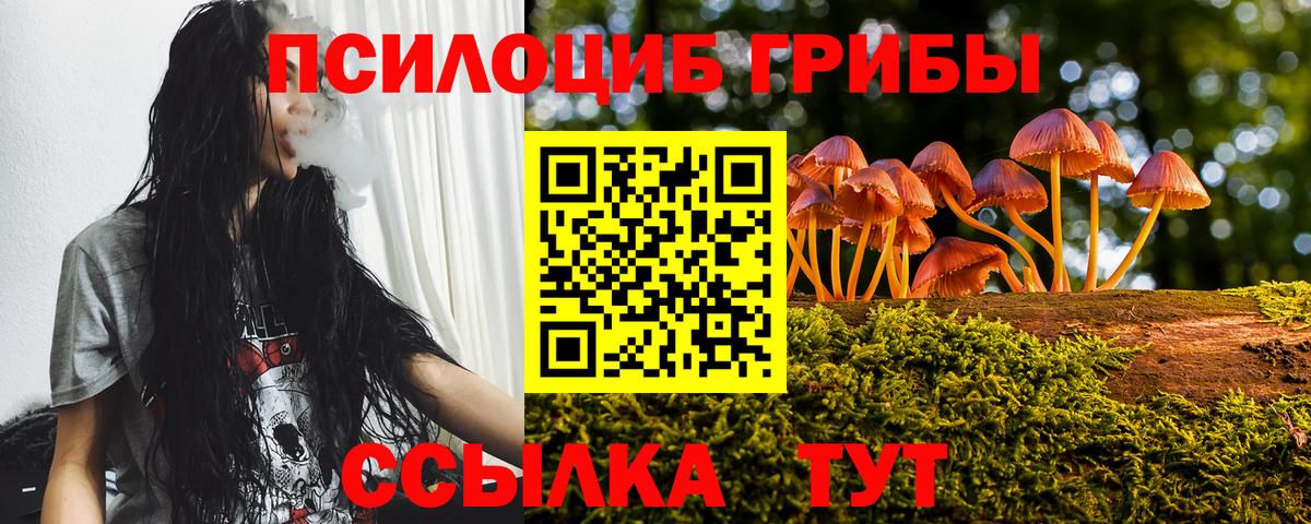 Гурьевск  Галлюциногенные грибы мухоморы  Вход с VPN 